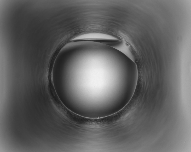 X0000089660538200707051531