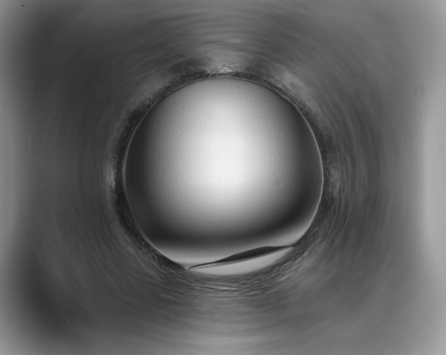 X0000089660539200707051531