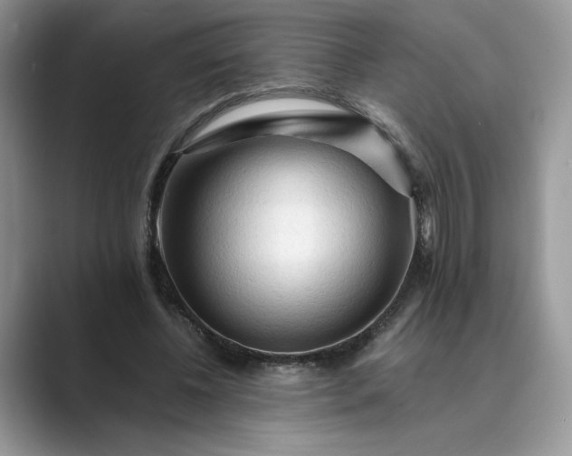 X0000089660540200707051531