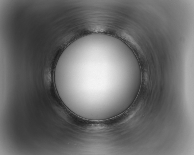 X0000089660541200707051531