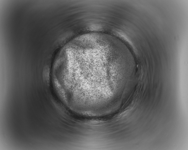 X0000089660542200707051531