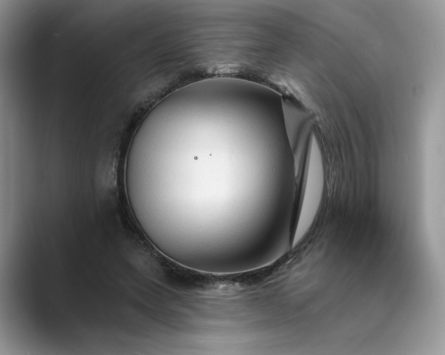 X0000089660543200707051531