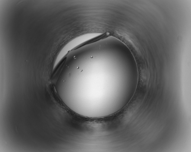 X0000089660545200707051531