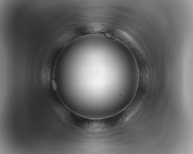 X0000089660546200707051531