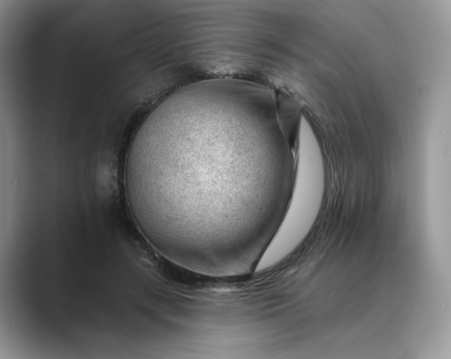 X0000089660547200707051531