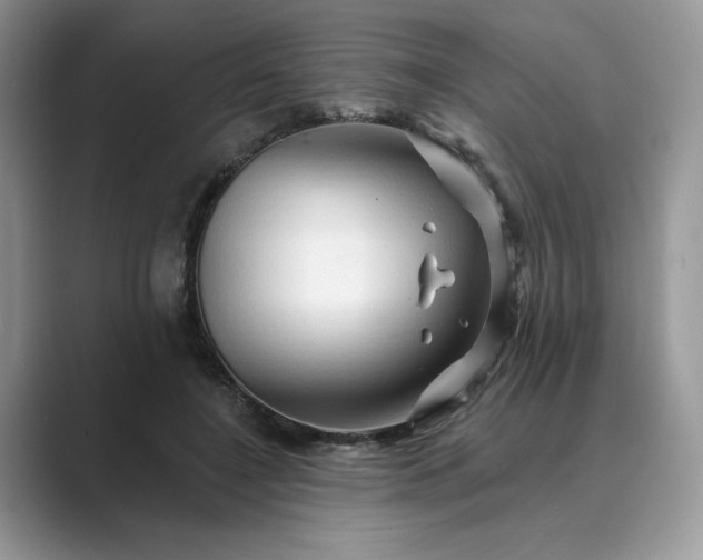 X0000089660548200707051532