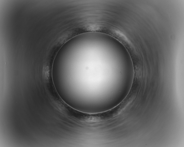 X0000089660549200707051532