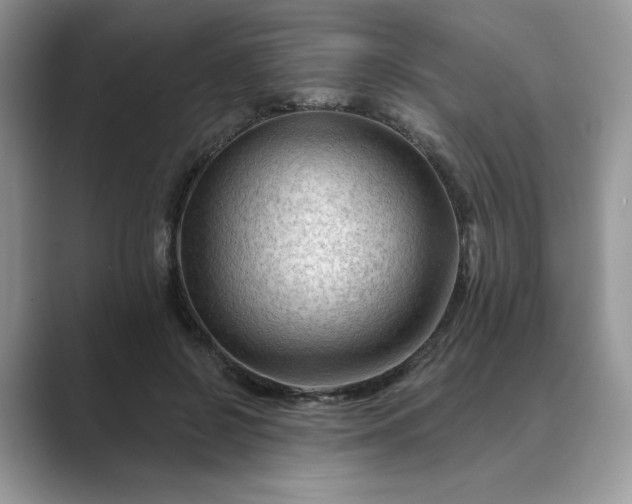 X0000089660550200707051532