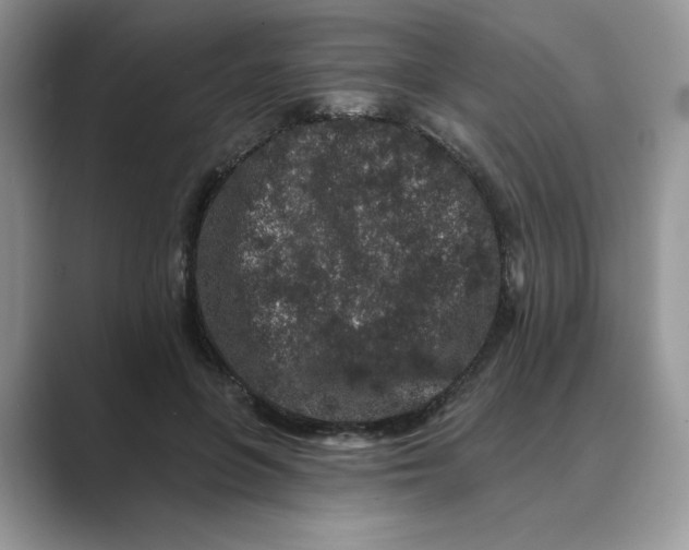 X0000089660551200707051532