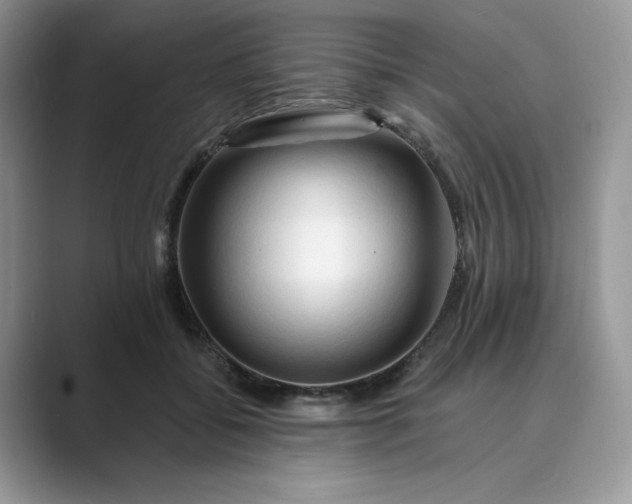 X0000089660556200707051532