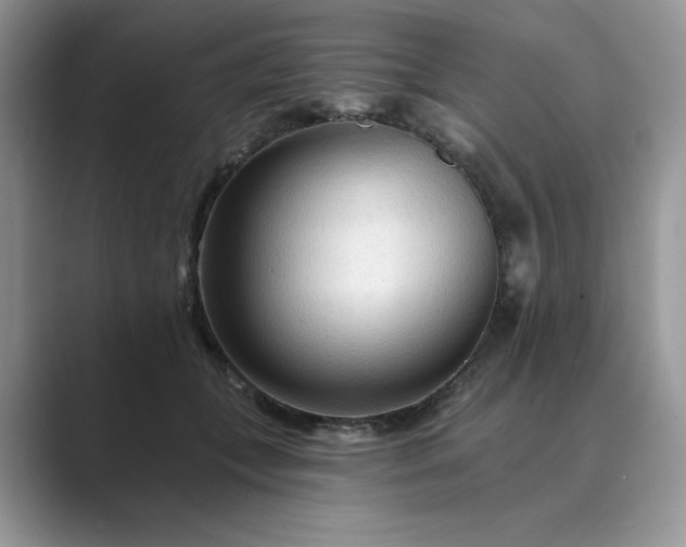 X0000089660559200707051532