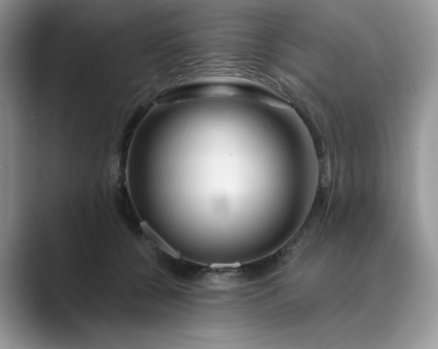 X0000089660560200707051532