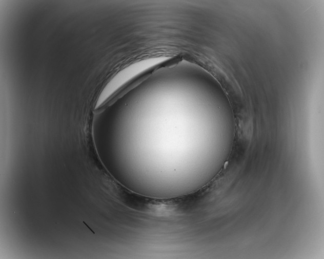 X0000089660561200707051532