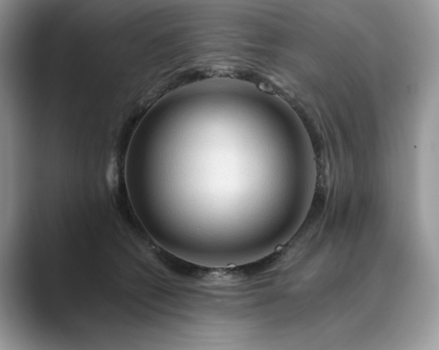 X0000089660562200707051532