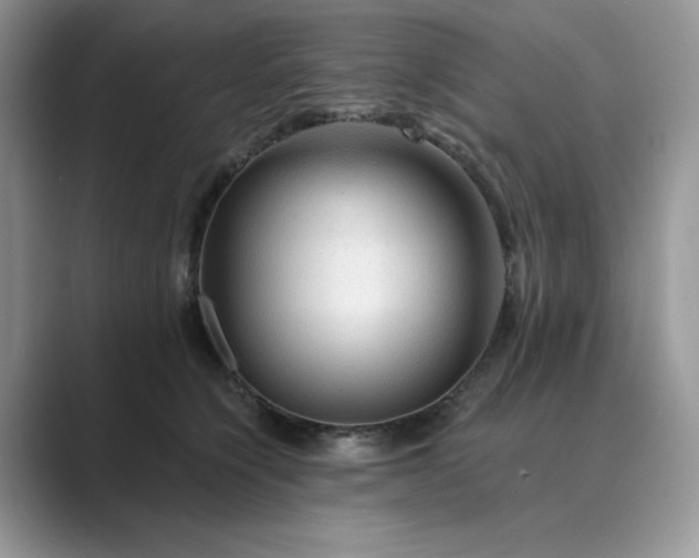 X0000089660564200707051532