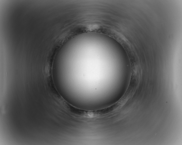 X0000089660565200707051532