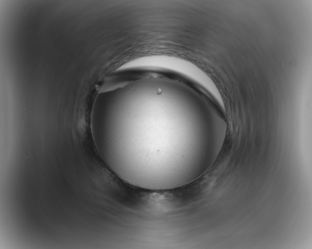 X0000089660566200707051532