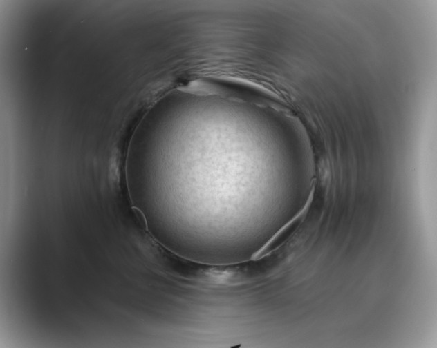 X0000089660570200707051532