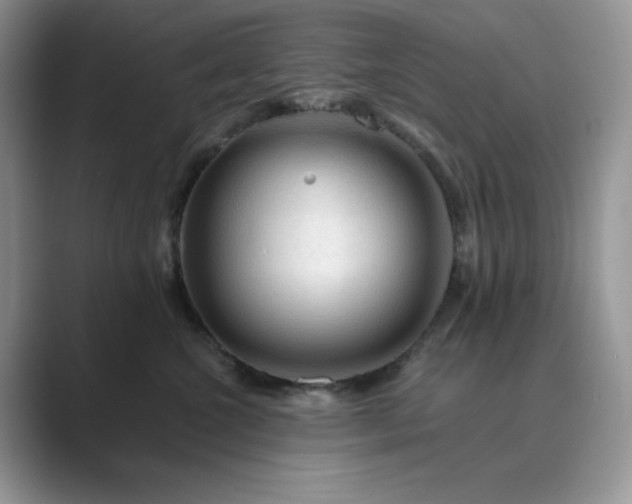 X0000089660572200707051532