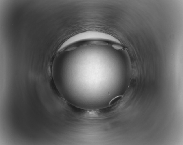 X0000089660573200707051532