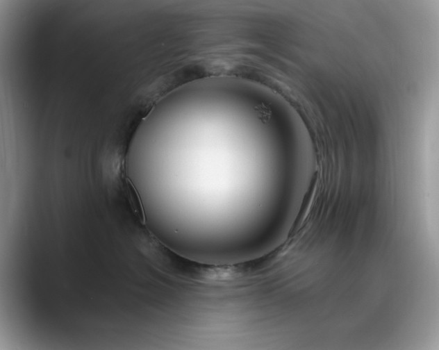 X0000089660574200707051532