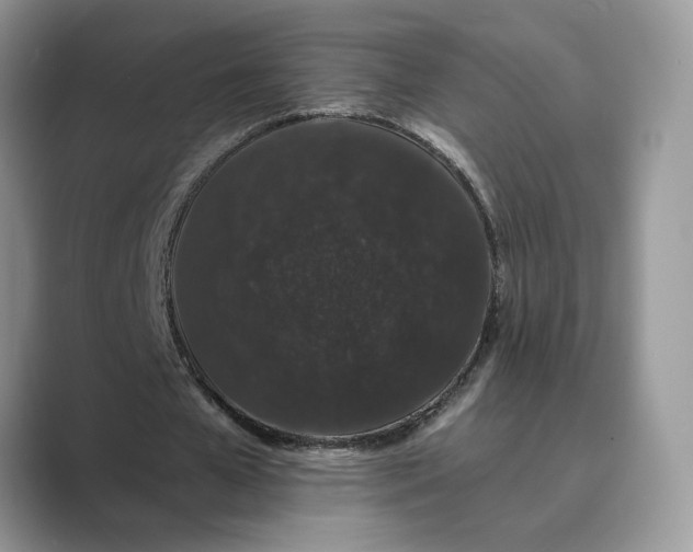 X0000089660577200707051531