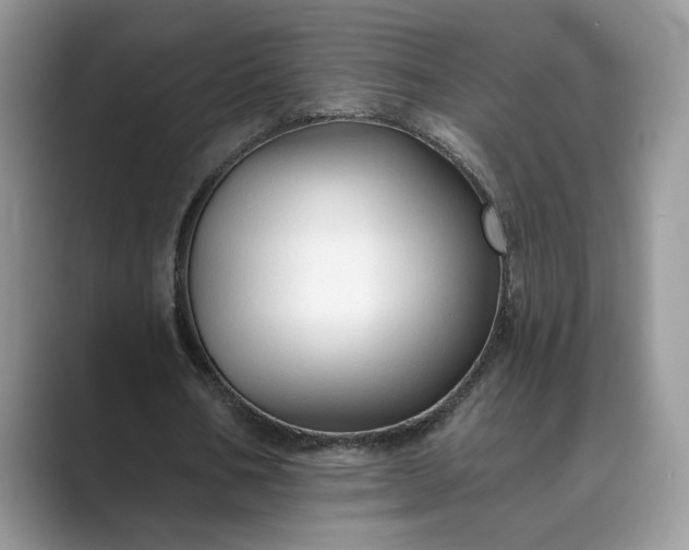 X0000089660578200707051531