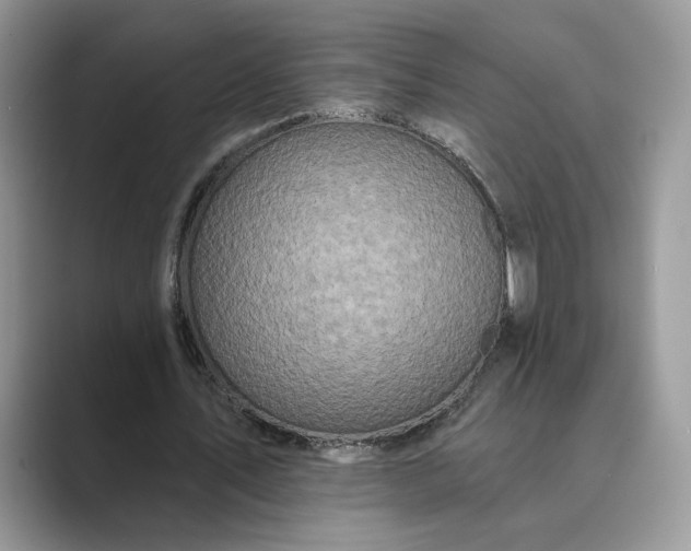 X0000089660579200707051531