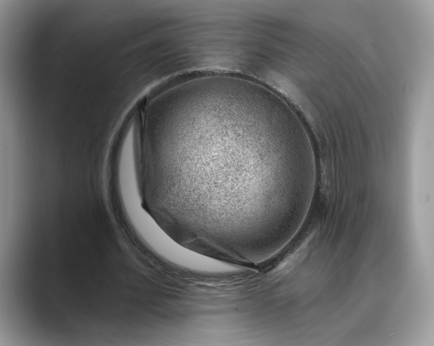 X0000089660580200707051531