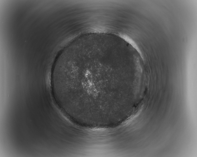 X0000089660581200707051531