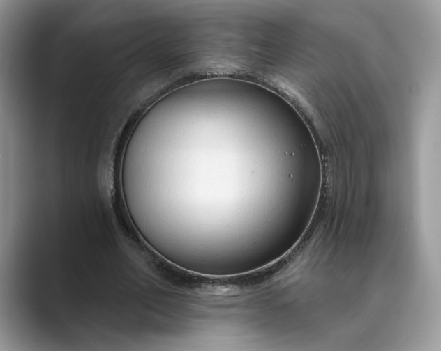 X0000089660582200707051531