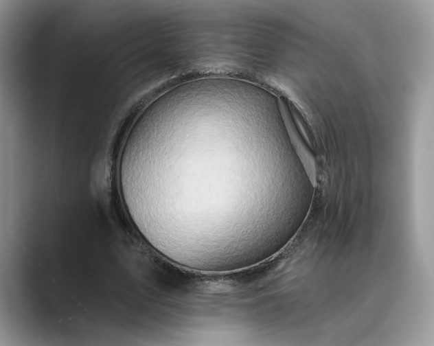 X0000089660583200707051531