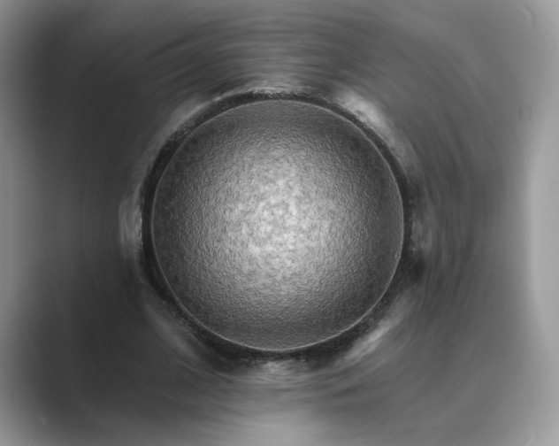 X0000089660584200707051531