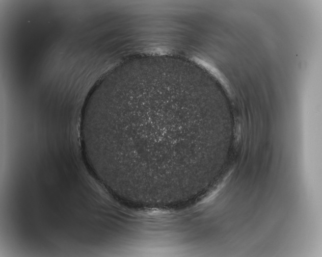 X0000089660585200707051531