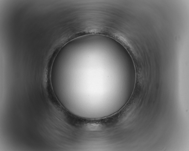 X0000089660586200707051531