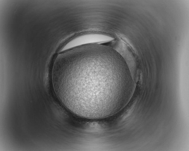 X0000089660588200707051531