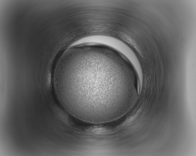 X0000089660589200707051531