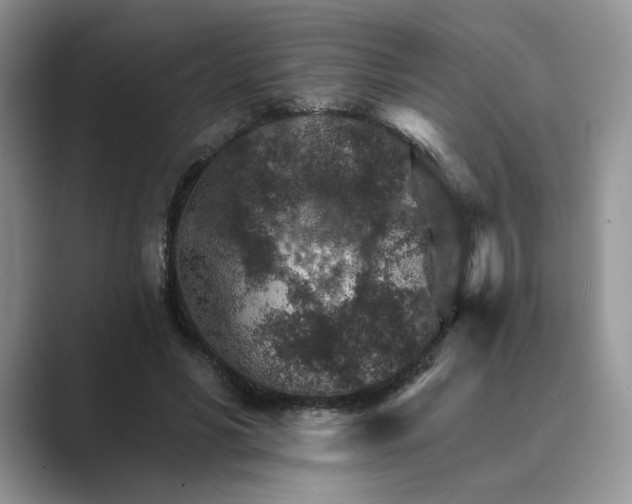 X0000089660590200707051531