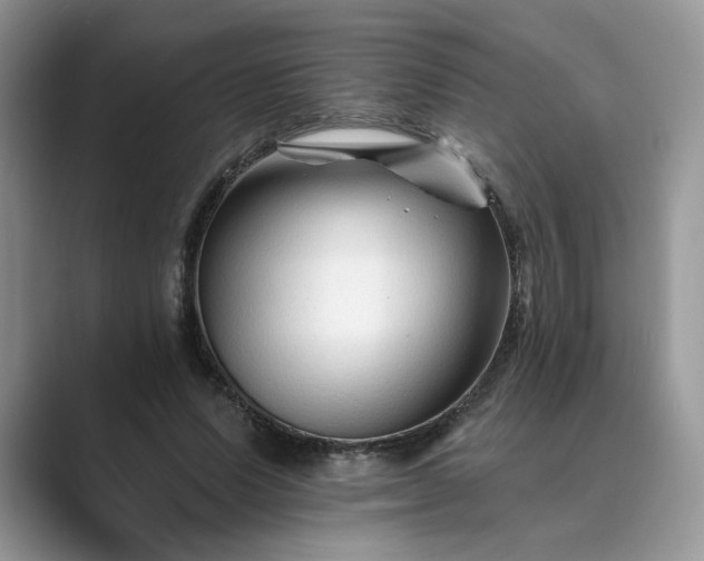 X0000089660591200707051531