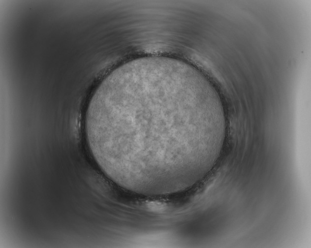 X0000089660592200707051531