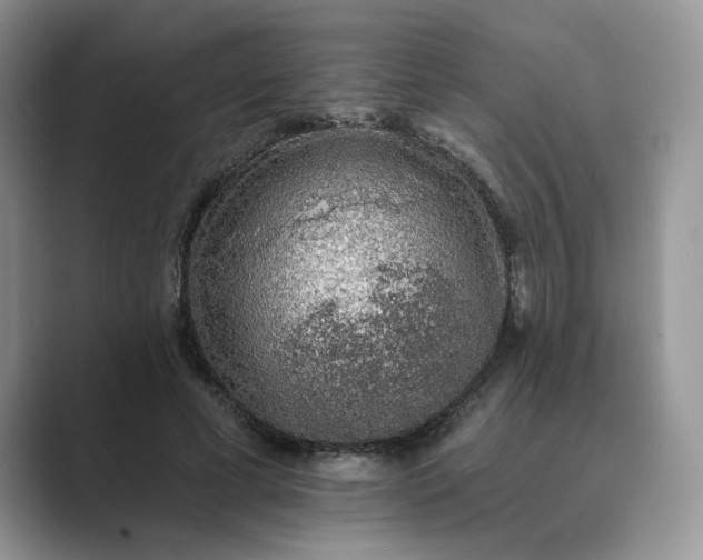 X0000089660593200707051531