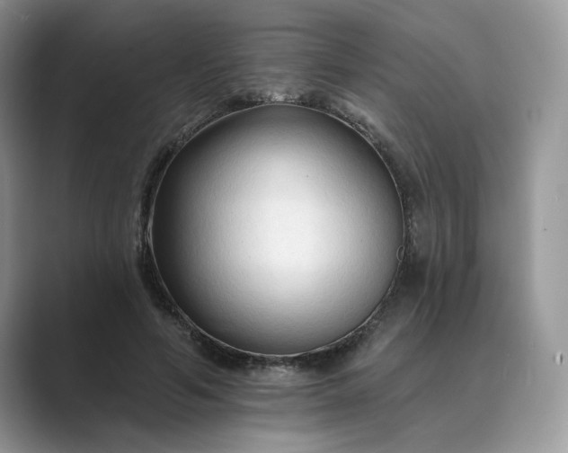 X0000089660594200707051531