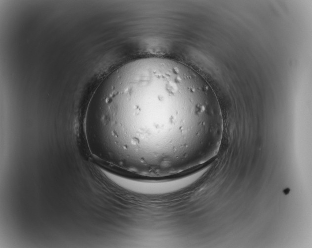 X0000089660595200707051531