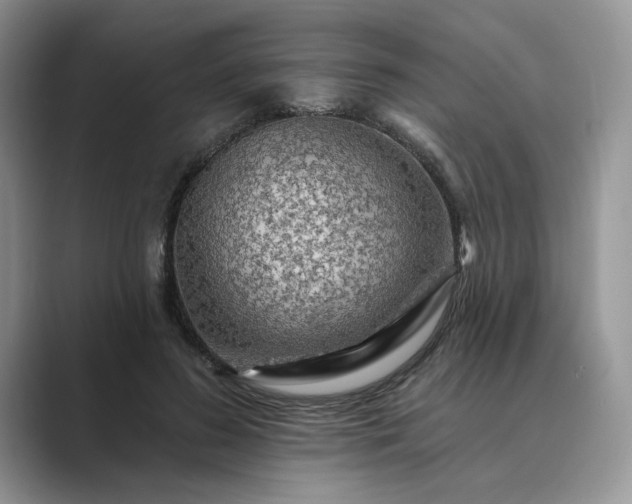 X0000089660596200707051531