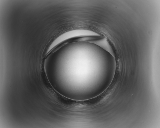 X0000089660597200707051531