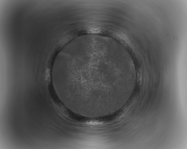 X0000089660598200707051531