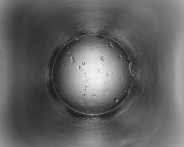 X0000089660599200707051531