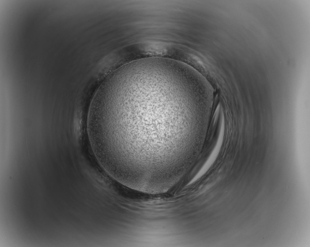 X0000089660600200707051531