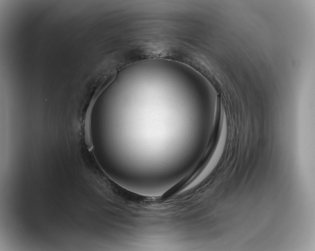 X0000089660601200707051531