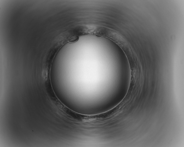 X0000089660602200707051531